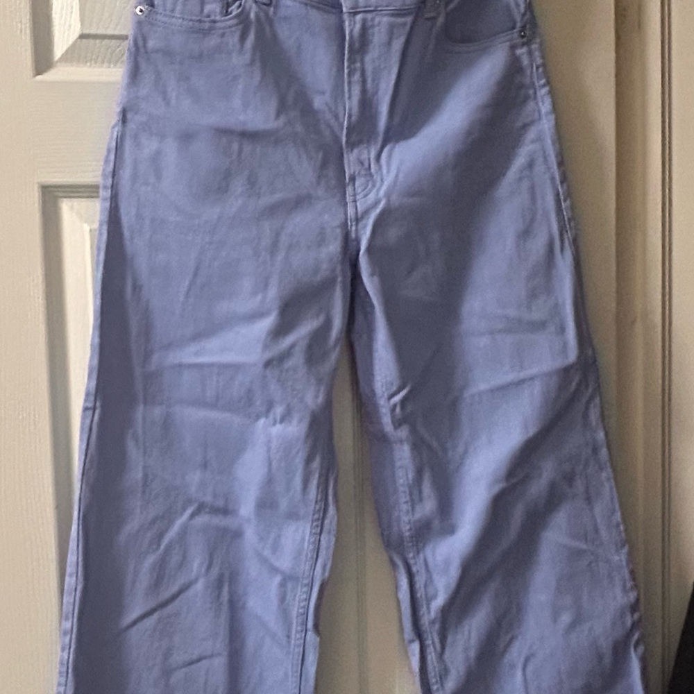 H&M Periwinkle Wide-Leg Pants - Never worn but no tags.